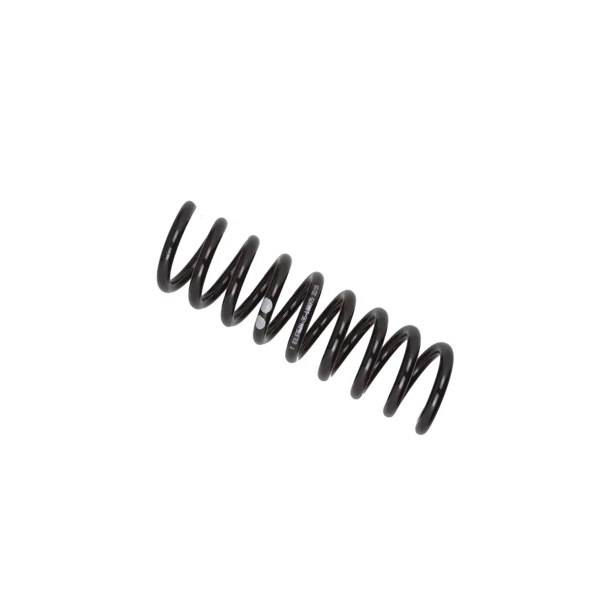 B3 OE Replacement Rear Coil Spring for Mercedes-Benz E320
