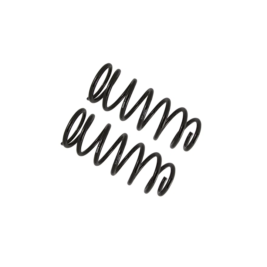 B12 (Special) Rear Coil Spring Set