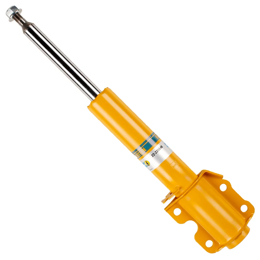 B6 Front Suspension Strut Assembly