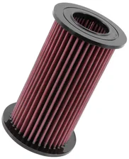 Replacement Air Filter image 1