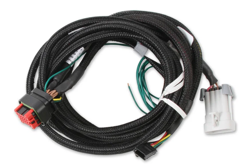 MSD 80002, EFI And LS Harness - Pro 600