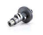 COMP Cams EVL-3050, Harley Big Twin Evolution 252/252 at .053.