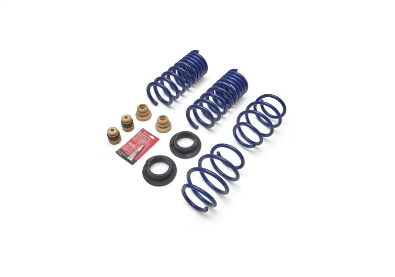 Ford Racing M-5300-S62T, 2024 Mustang 2.3L Track Lowering Spring Kit
