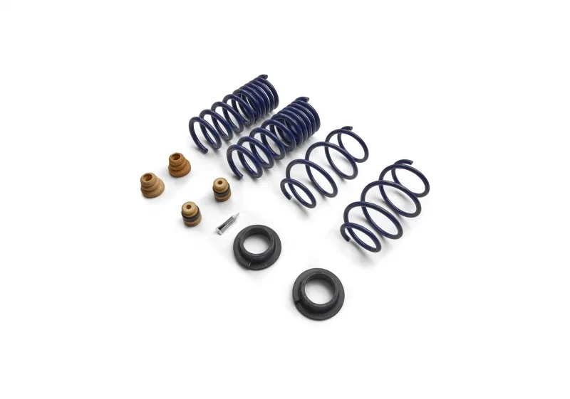 Ford Racing M-5300-S65S, 15-24 Mustang Street Lowering Spring Kit