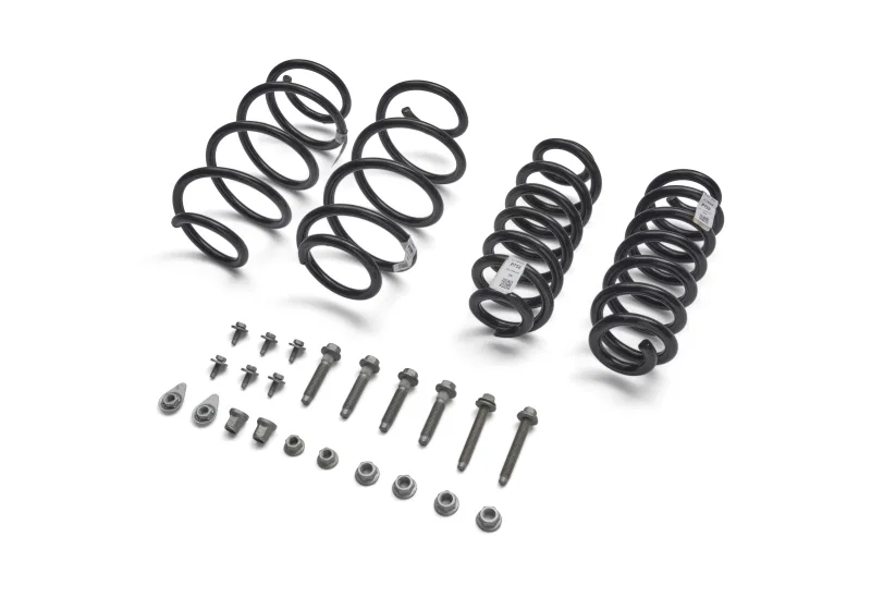 Ford Racing M-5300-MV, 22-25 Maverick Lowering Springs