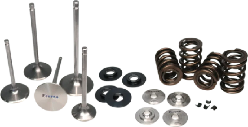 Ferrea KT9009, 01-08 Kawasaki KLX 400/KFX 400 Valve Spring Kit