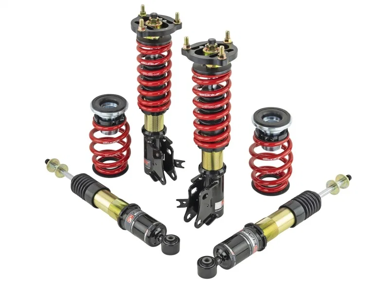 Skunk2 Racing 541-05-8750, 06-11 Honda Civic Si Pro ST Coilovers
