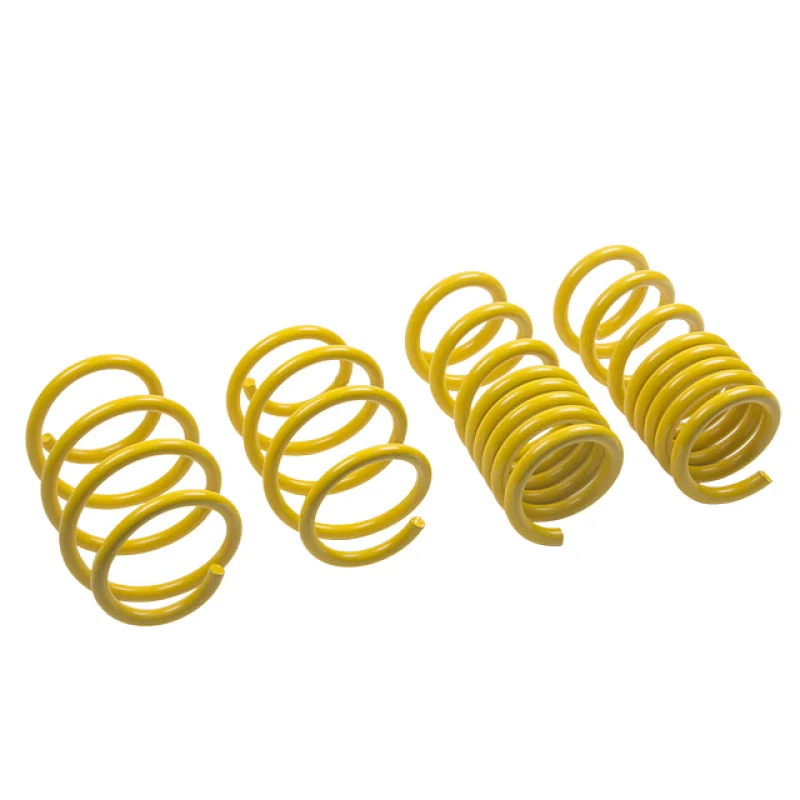 ST Suspensions 28230052, Lowering Springs Ford Mustang V8