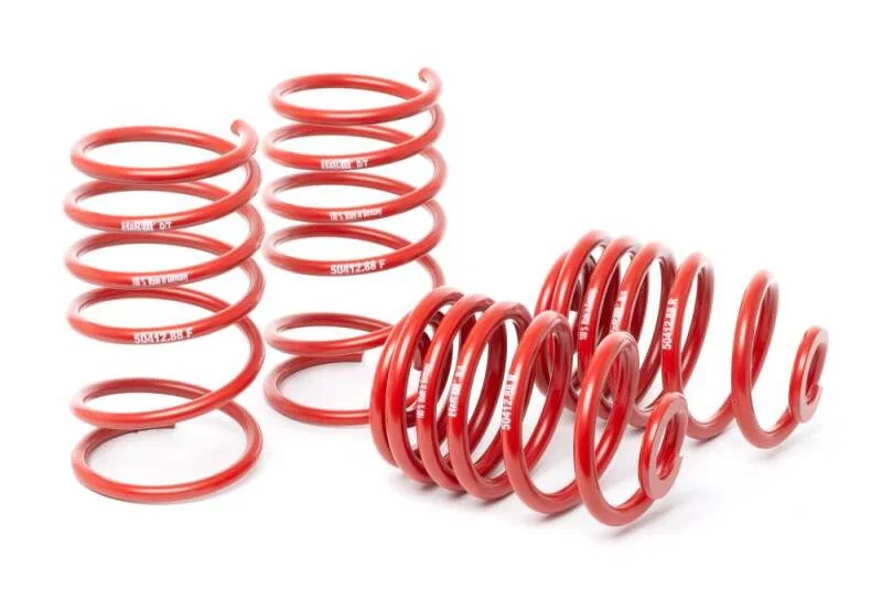 H&R 50412-88, 96-99 BMW M3 3.2L E36 Race Spring (Non Cabrio)