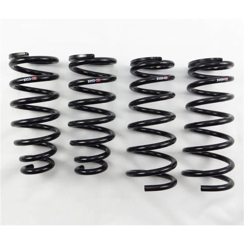 RS-R T223D, 98-05 Lexus GS300/400/430 (JZS160) Down Sus Springs
