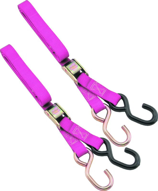 BikeMaster 100503, 1in Tiedown - Pink