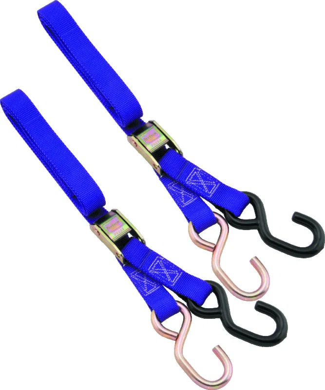 BikeMaster 100512, 1in Tiedown - Purple