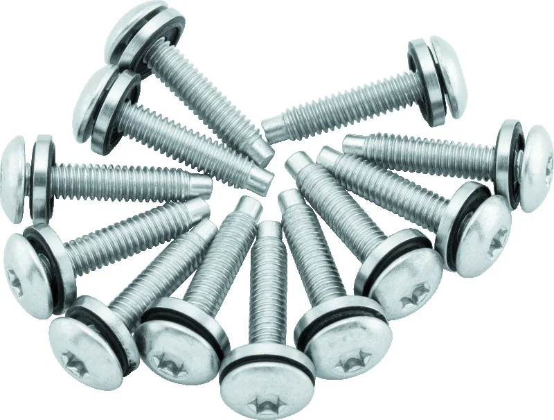 TwinPower 046269, 04-17 Dyna Models Fuel Pump Plate Screw Kit Replaces H-D 1331