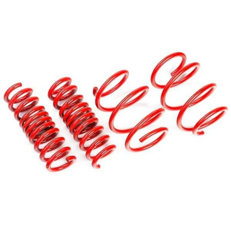 AST ASTLS-19-205, Suspension 2018+ Tesla Model 3 Long Range AWD Lowering Springs 40mm/40mm
